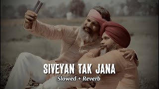 Siveyan Tak Jana Yara  Slowed amp Reverb  LoFi Song [upl. by Grenier]