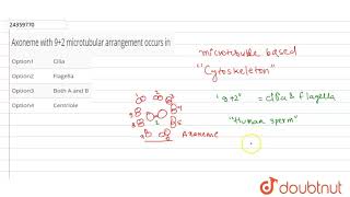 Axoneme with 92 microtubular arrangement occurs in [upl. by Ecinreb]
