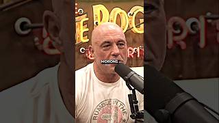 Joe Rogan defends Elon Musk😯 joerogan jre shorts [upl. by Atinaw]