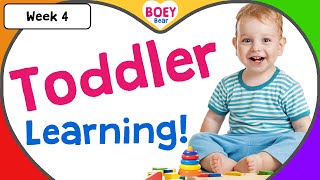 Educational Videos for Toddlers  2 year old 3 year old 4 year old Learning Videos with Boey Bear [upl. by Kessia]