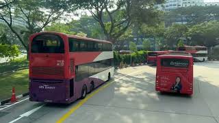 Singapore Bus Ride  Sky Green Condo to Toa Payoh Bus Interchange [upl. by Ytsihc]