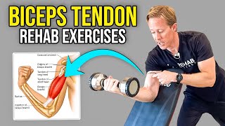 2 Biceps Tendonitis Exercises [upl. by Mozelle851]