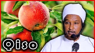 Qiso Cusub‼ Ninkii Safarka Ahaa Ee Tufaax Anu Lahayn Cunay  Alle Ka Cabsiga┇►Sh Xuseen Jabuuti [upl. by Redman]