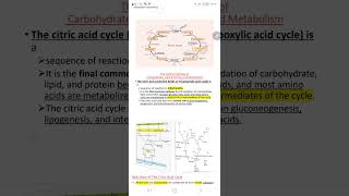 biochemistry citric acid cycle part 2 [upl. by Milly]