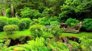 BEAUTIFUL GARDENS ☜Ⓞ☞ NEW ZEALAND [upl. by Lyrrad]