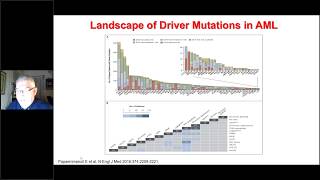 Indications for allogeneic stem cell transplantation in AML [upl. by Eecram872]