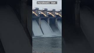 Jayakwadi Dam Current Water Level Today 2024 [upl. by Nellir759]