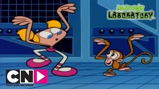 Pojedynek Dee Dee i Dextera  Laboratorium Dextera  Cartoon Network [upl. by Forester261]