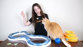 Top 5 Best Cat Toys We Tested Them All [upl. by Atte]