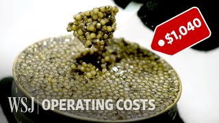 How to Run a 10 Million Caviar Farm  WSJ Operating Costs [upl. by Treiber]