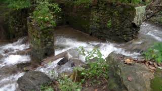 Shepherdstown WV Town Run  Potomac River Confluence at the old Port amp Virginia Ferry Operation [upl. by Hutner]