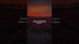 dios diosesbueno diosesamor frases fé shorts shortvideo youtubeshorts fyp foryou parati [upl. by Ettevroc494]