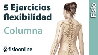 5 ejercicios para flexibilizar la columna entera [upl. by Eceinaj191]