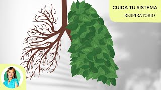 El sistema respiratorio  Cuidados y beneficios de la Aromaterapia [upl. by Altaf]