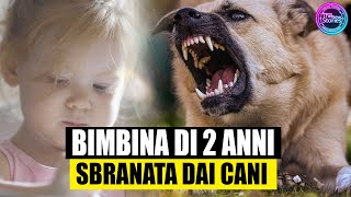 ULTIMORA NONNA E NIPOTINA AGGREDITE DA DUE CANI LA BIMBA DI 2ANNI È GRAVE DRAMMA A ROMA [upl. by Vary]