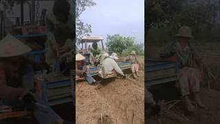 satisfying agriculture farming agricultureonyourhand farm mydiyfarming agriculturefarming [upl. by Minetta]