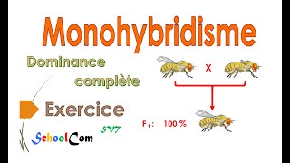 Exercice Monohybridisme  dominance complète [upl. by Clementine]