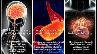 2Minute Neuroscience Blood Supply of the Brain [upl. by Boothman]