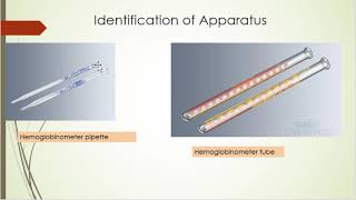 HB estimation  procedure and spotting [upl. by Goldsworthy]