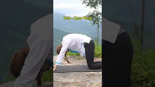 Yoga for Period Cramps yogalife yogaposes viralvideo calmdown periods periodcramps shorts [upl. by Portland]