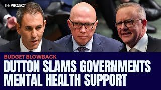 Peter Dutton Slams Government For Reduction In Free Mental Health Services [upl. by Eidlog532]