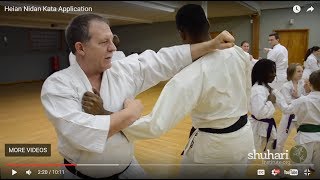 Heian Nidan Oyo  Bunkai Kata Application [upl. by Nytsirhc]