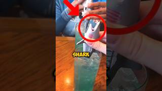 WEIRDEST SHARK drink 😱 [upl. by Enoid857]