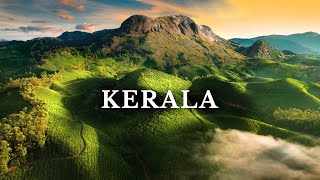 Kerala’s Most Beautiful Place Munnar  South India  Kolukkumalai [upl. by Ahsiek752]