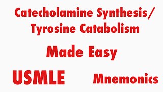 Catecholamine Synthesis Tyrosine Catabolism USMLE Mnemonics [upl. by Ruggiero]