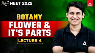 MORPHOLOGY OF FLOWERING PLANTS CLASS 11  FLOWER AND ITS PARTS NEET 2025 PREPARATION  NEET BIOLOGY [upl. by Etteuqram720]