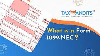 What Is Form 1099NEC Non Employee Compensation [upl. by Valentin]