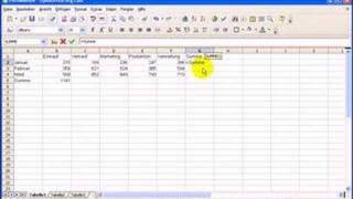 Open Office Calc Grundkurs  24 Formeln mit Funktion und Ze [upl. by Yleen331]