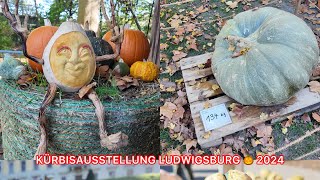 KÜRBISAUSSTELLUNG Ludwigsburg 2024🎃🎃 [upl. by Annuhsal]