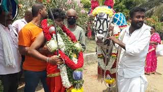 Chindagiri Doddi sri pancha shaneshwara swami Temple jathra mahothsva Mandya dist [upl. by Atteragram143]