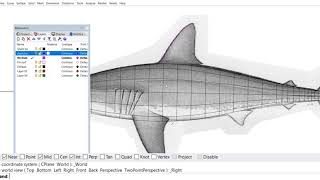 4 Shark Dorsal Fin [upl. by Woodward128]