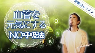 【呼吸法】NO呼吸法 ／ 一酸化窒素 NOを増やす／血管拡張／免疫力向上 ／いい呼吸オンラインレッスン ＃呼吸法 ＃窒素 [upl. by Yrrag865]