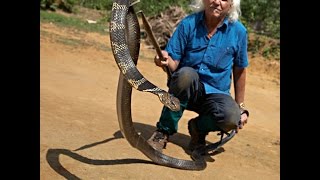 Romulus Whitaker amp Kris Smith Talking Venomous Snakes and Venom  K Brothers Pythons  ep32 [upl. by Ecadnak332]