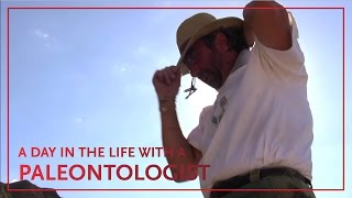 A Day in the Life of Paleontologist Thomas Carr [upl. by Welcy665]