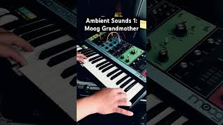 Ambient Sounds Series No1 Moog Grandmother synth mooggrandmother ambient ambientmusic moog g [upl. by Luciano]