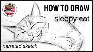 How to Draw Sleepy Tabby Cat Laying Down on Side smiley face forward view head shoulders and paw [upl. by Eniffit]