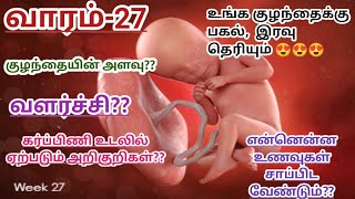 27th Week Pregnancy Symptoms in Tamil  27 வாரம் குழந்தை வளர்ச்சி  27th week Baby Development [upl. by Annatnom]