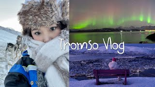 Tromso Vlog  Welcome to the wonderland 🇳🇴 Norway in winter whales northern light amp dog sledding 🤩 [upl. by Eeneg341]