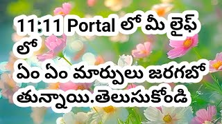 💯❤️1111 పోర్టల్ మీ లైఫ్ లో ఏం ఏం మార్పులను తీసుకు రాబోతోందితెలుసుకోండి [upl. by Acinelav]