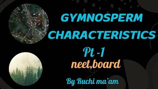 Gymnospermsclass 11plant kingdom general featurescbsencert biologyneetCBSEchapter3 [upl. by Atteynod738]