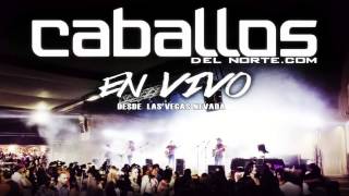 EN VIVO Que me lleve el Diablo Caballos del norte [upl. by Gaile]