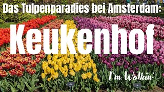 KEUKENHOF  Botanischer Garten in Lisse Niederlande [upl. by Ruvolo]