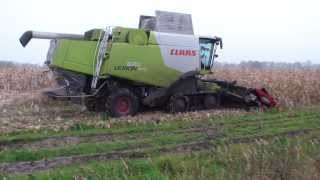 Claas Lexion 670 TT Mais 2013 [upl. by Aronson822]