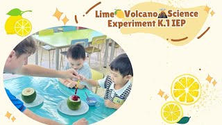 Lime🍋Volcano🌋Science Experiment K1 IEP [upl. by Rosa]