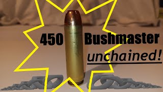 450 Bushmaster P High Velocity Is it time [upl. by Sandor676]