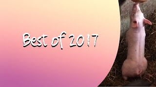 Best of 2017 39 [upl. by Aruon]